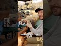 Saving Lives: Lion Surgery &amp; Rhino Rescue! #highstakes #changeyourmindsetchangeyourlife #mrbeast