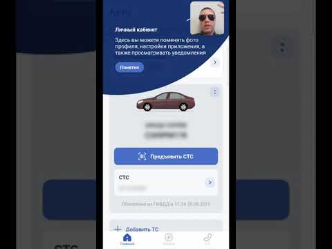 Госуслуги авто: проверка штрафов гибдд и QR код вместо СТС