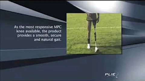 Plie Presentation-H.264 300Kbps 16_9.mov