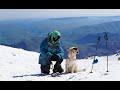 Teaser / Сlimbing Mount Elbrus with golden retriever / July`2021