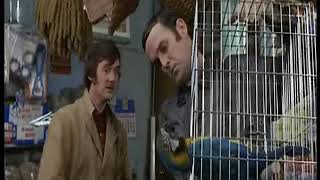 Monty Python - Dead Parrot