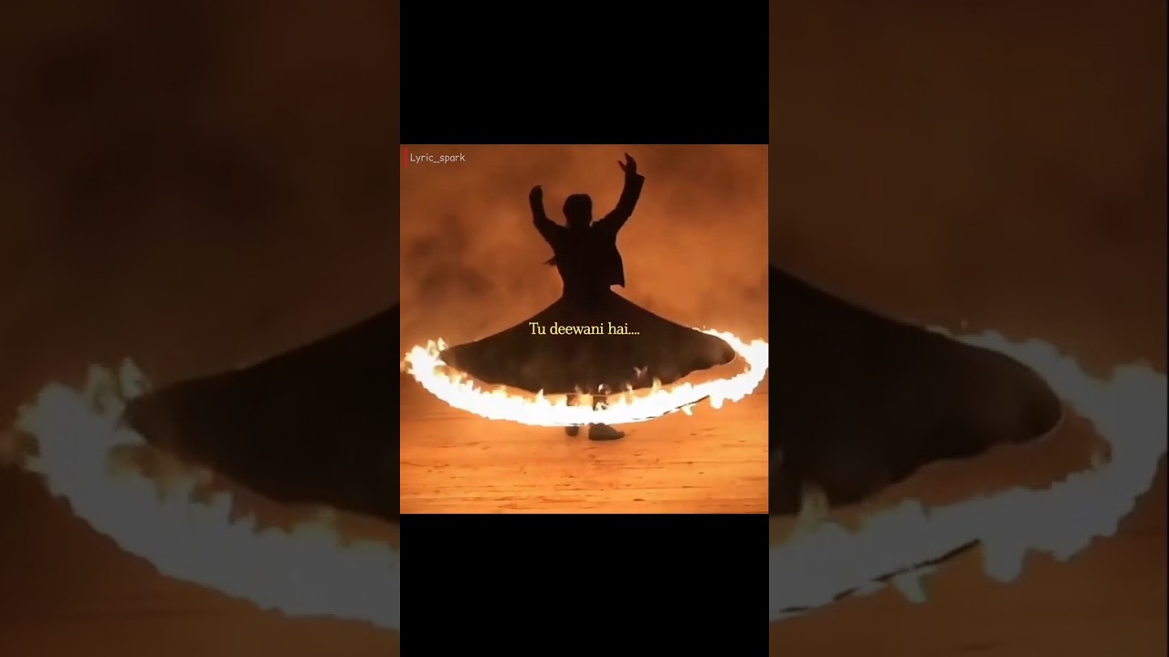 TU DEEWANI TU MASTANI||DEEWANI MASTANI||#shorts #shortsfeed #viralshorts #foryou #lyrics 