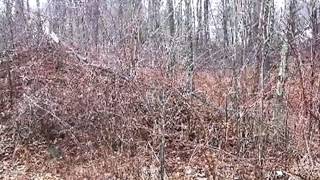 1 Heron Rd video tour
