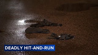 Woman struck, killed in hit-and-run in Feltonville neighborhood of Philadelphia