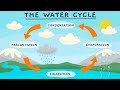 The Dynamic Journey Of Water Through The Water Cycle