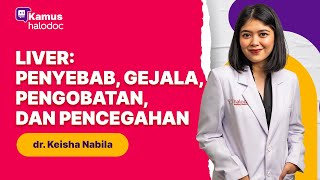 Hepatitis: Penyebab, Gejala, Pengobatan, dan Pencegahan