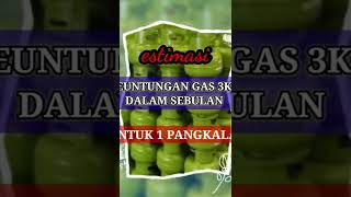 PANGKALAN GAS ELPIJI 3 KG laba perbulan #shorts