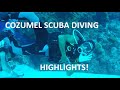 Cozumel Scuba Highlight Video! Top 10 Dive Destination IN THE WORLD!! Fish Identification Included