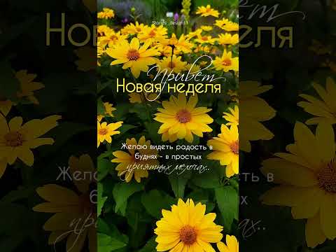 Понедельник.#доброеутро#пожеланиядоброгоутра#понедельник#мотивация#piano#music #pianomusic#цветы