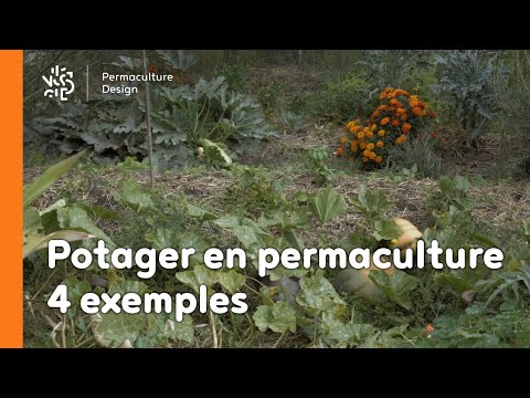 Potagers en permaculture : 4 exemples sur le même jardin