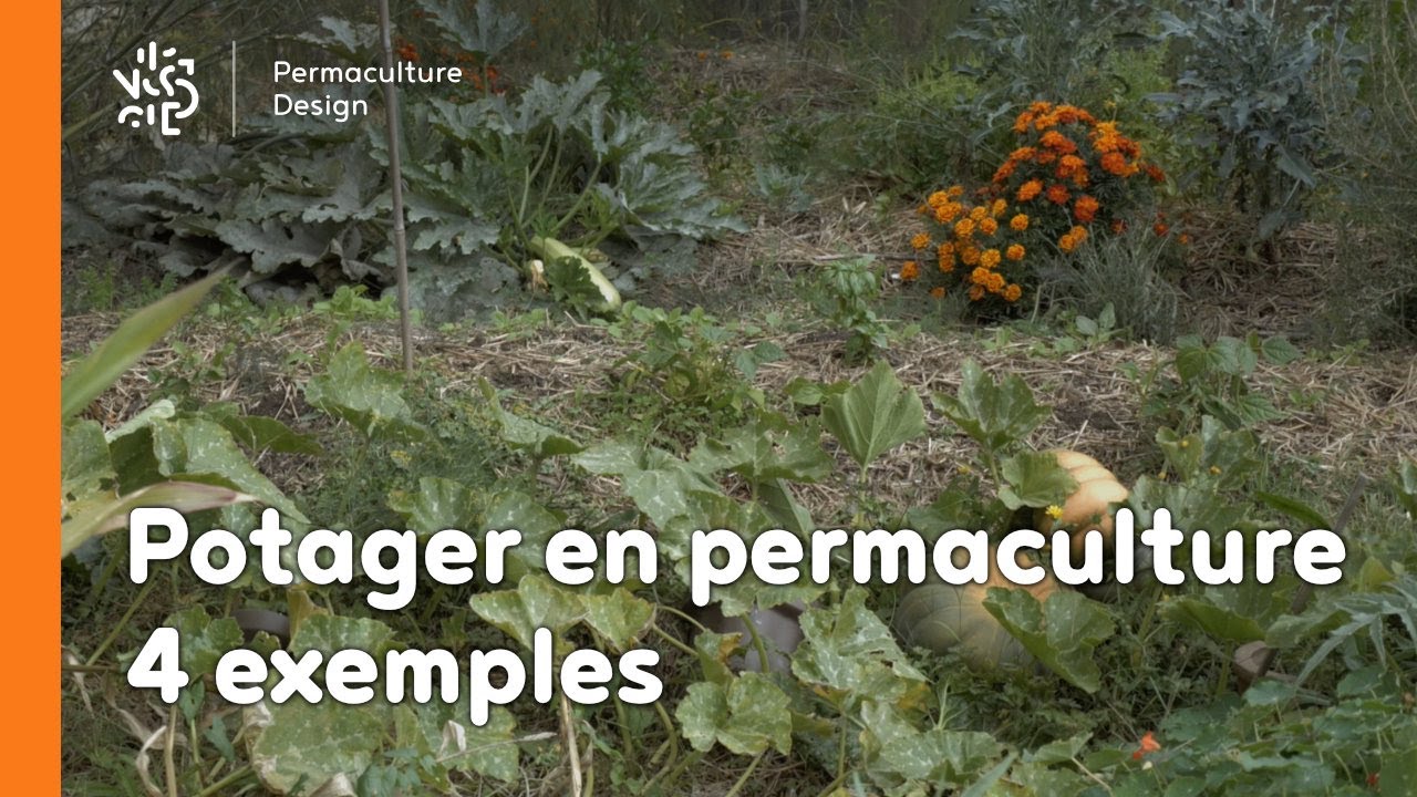 Potagers en permaculture : 4 exemples sur le même jardin