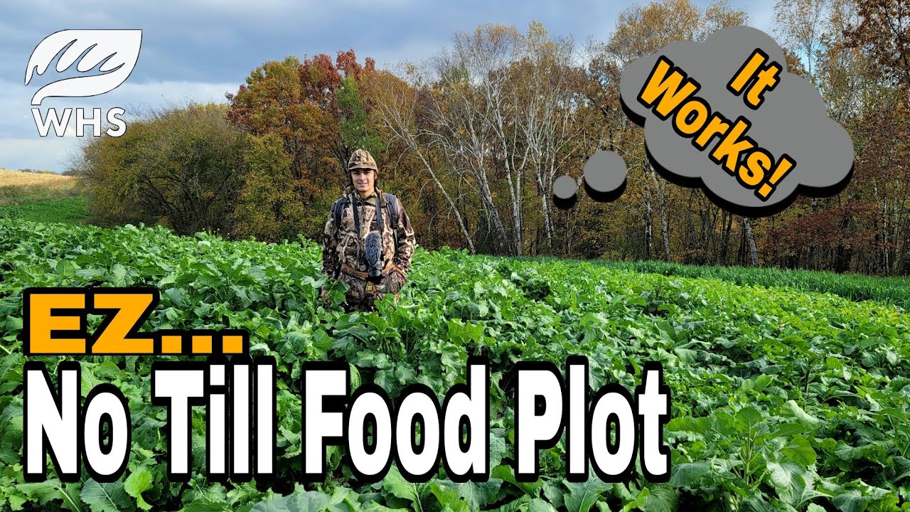 EZ No Till Food Plot Option - YouTube EZ No Till Food Plot Option - YouTube