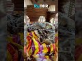 Именинник не в настроении 😅 Волк сегодня не рад празднику 🎂🐺