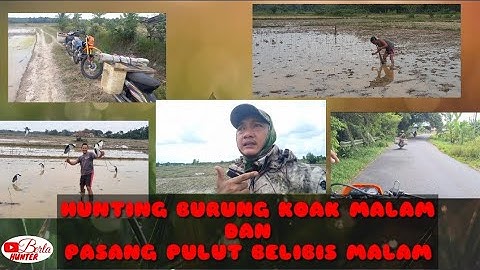 PART: 2 HUNTING MALAM PERSIAPAN  SHOT BURUNG KOAK DAN PASANG PULUT BELIBIS MALAM HARI 🌚