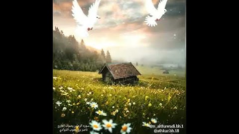 سوره الرحمن