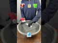Can Floating Tissue Hold Paint Tubes? | Satisfying Water Test #satisfying #trending #cleanbyte