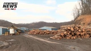 Abrupt closure of Allegheny Wood Products impacts hundreds of West Virginia workers