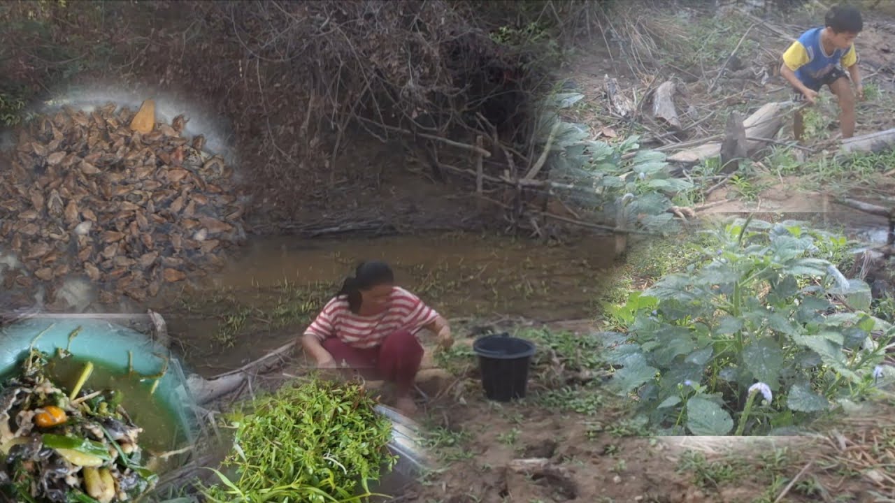 2 มีนาคม ค.ศ. 2026