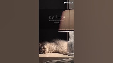 اكتب اي شيء تؤجر عليه القارئ:اسلام صبحي #quran #قران_كريم