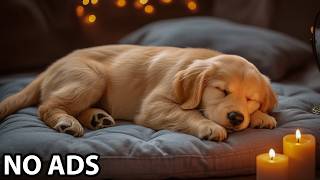 12 Hours Music For Dog 💤 Dog Relaxation Music & Dog Comforting Melodies For Calm Behavior screenshot 5