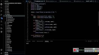 cs50 python project
