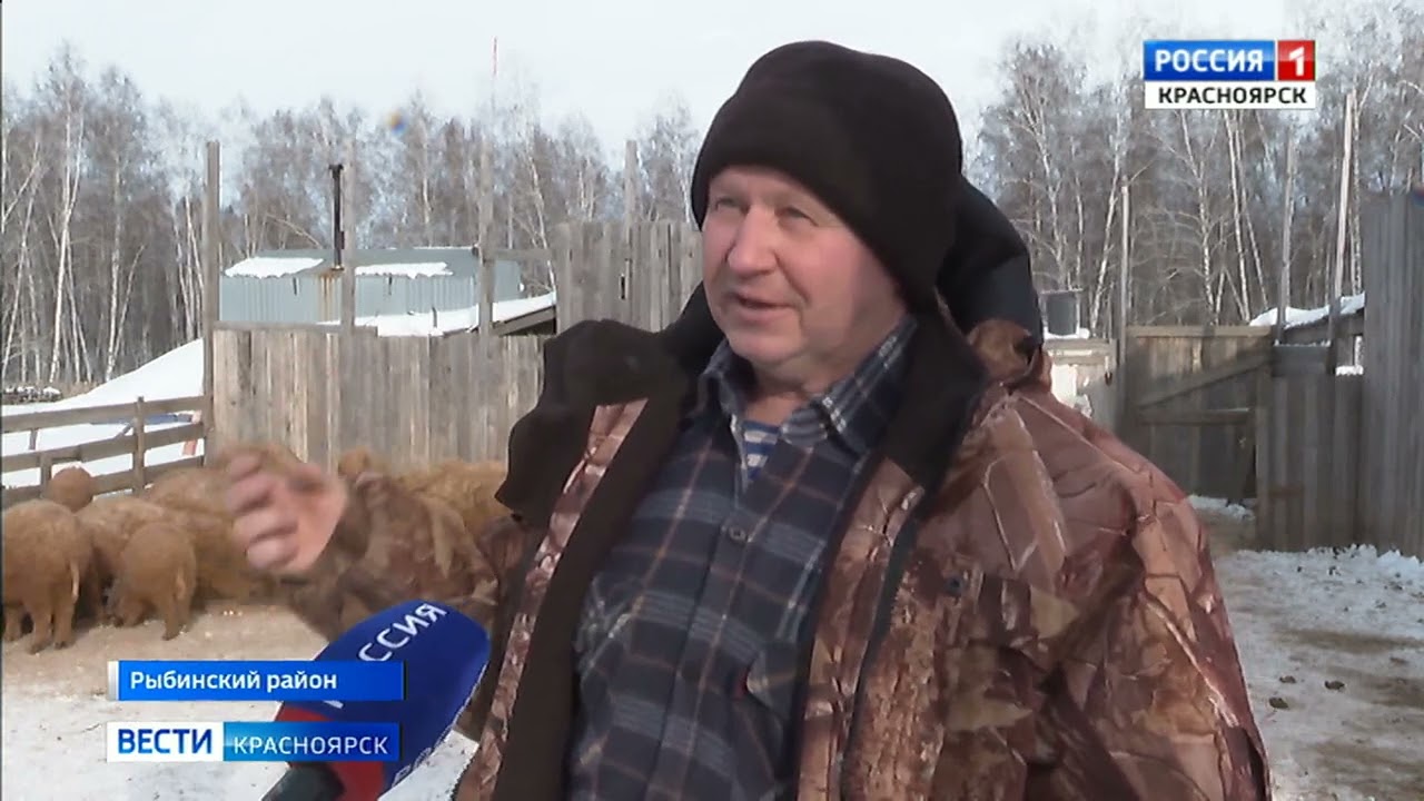 красноярский колхозник