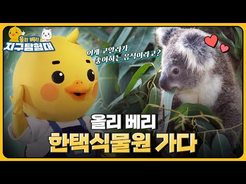 식물이 너무 어려운 올리와 베리😃😸 똑똑채소 &amp;#39;브리&amp;#39;가 알려주는 🌿식물 이야기  / <strong>올리</strong> 베리 지구탐험대