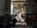 Try this to build spinal rotation