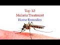 Top 10 malaria treatment home remedies  malaria  symptoms causes and home treatment