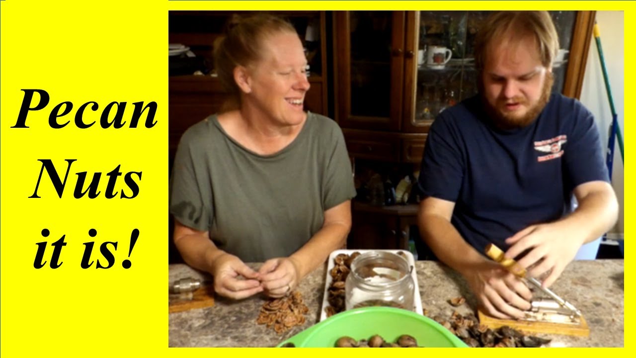 DIY Pecan Flour, Butter, and Oil