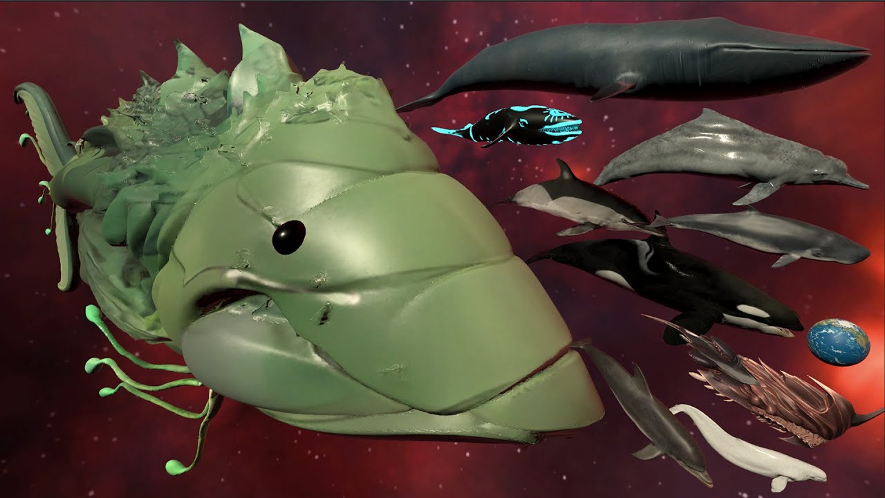 Voltron Cosmic Whale Vs Space Whale & Dolphin Vs 3D Epic Whale, Monster Whale Size Comparison