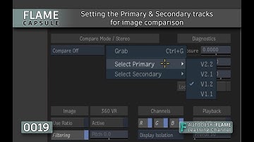 Flame Capsule 019 - Setting the Primary & Secondary Tracks for Image Comparison - Flame 2021.1