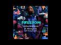 Zakes Bantwini ft. Moonga K - Freedom (LED Music Remix)
