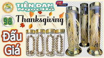 98: Đấu Giá Thanksgiving Sale với Ngọc Hồ Tiên Đan S365 Nhân Sâm Hoang Dã