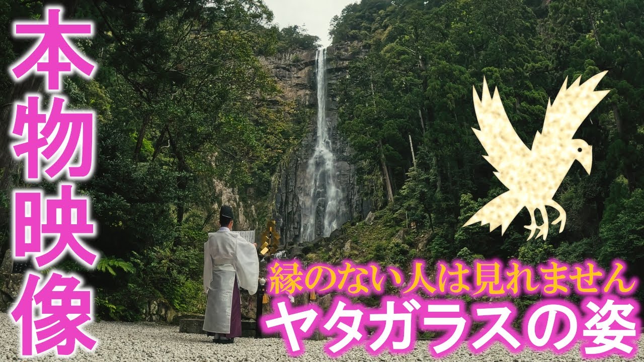 ⚠️那智の滝に八咫烏様が降臨しました※お姿が見えたら強運です。もし逃したら二度とありません｜飛瀧神社・那智御瀧遠隔参拝279