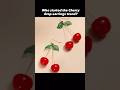 First cherry drop earrings #historyshorts #catherinethegreat #fashionhistory #russianhistory #trend