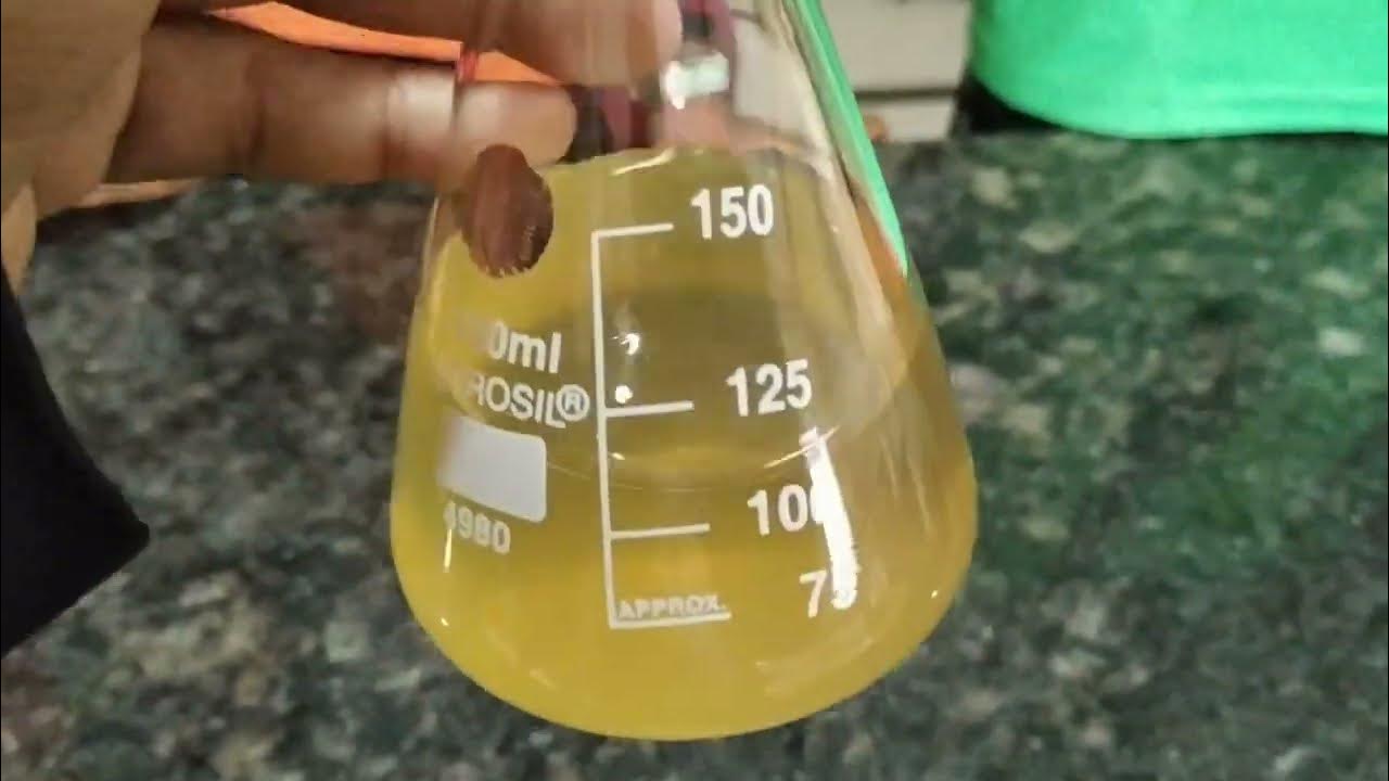 Preparation of Colloidal solutions of egg albumin YouTube