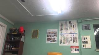 IMG 0638