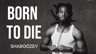 Born To Die - Shaboozey 