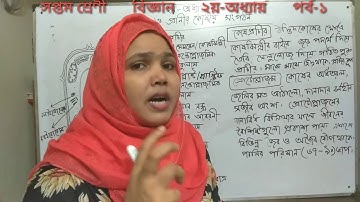 Class Seven General Science Chapter 2(part-1) Munsura Munmun 🌹সপ্তম শ্রেণী বিজ্ঞান ২য়অধ্যায়পর্ব-১