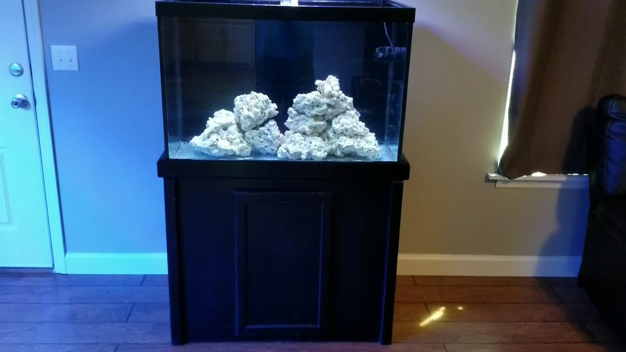 65 gallon seahorse tank setup YouTube