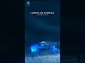 How This Rare Fish Unleashes Blue Fire in the Ocean