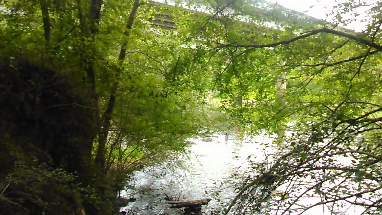 Withlacoochee River at US 84 YouTube