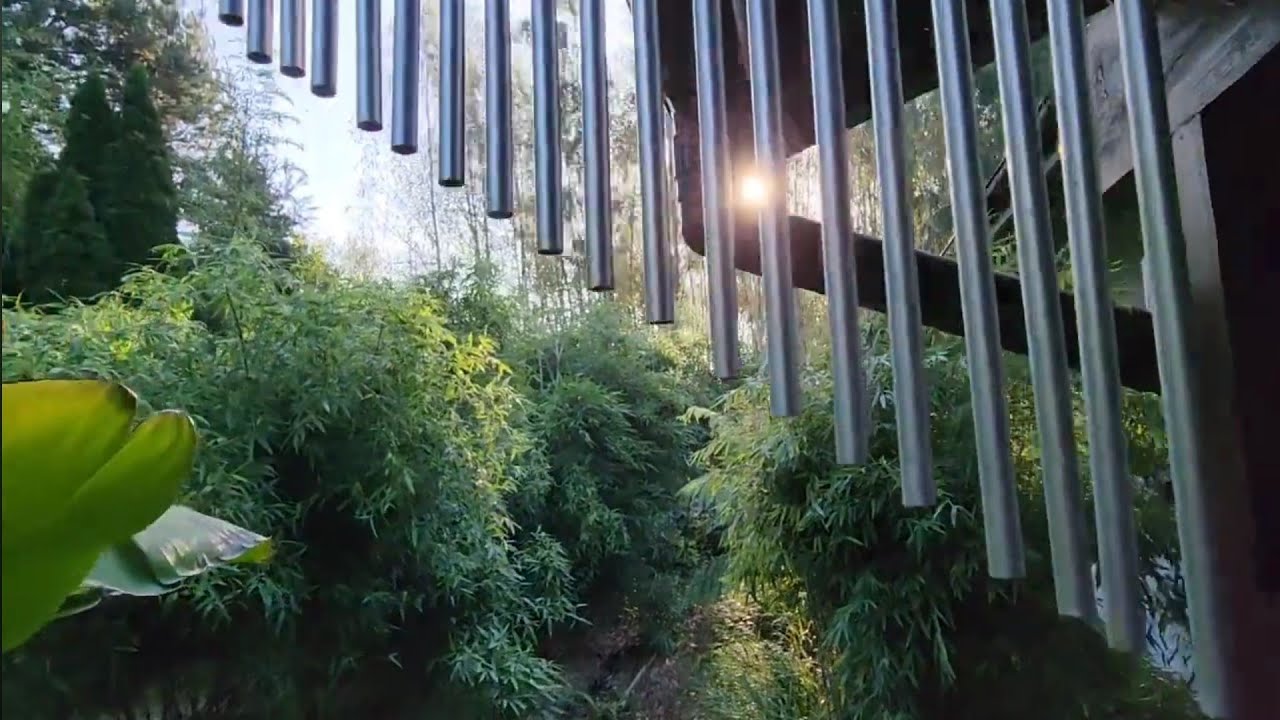 Welcome to my 6B zone jungle. Zapraszam na jesienny egzotyczny spacer 😉