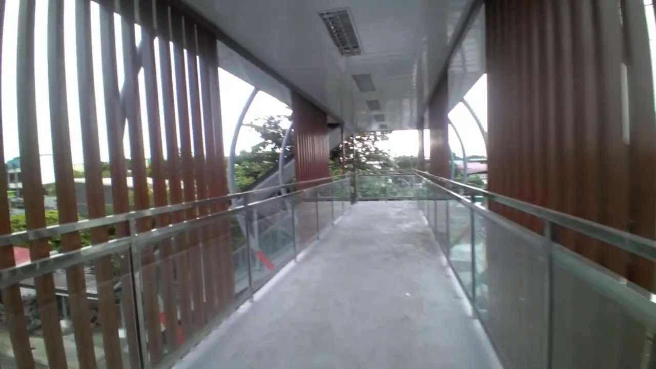 Mr. Sleepy Cat in a new footbridge in Centennial Road, Kawit, Cavite (August 21, 2025)