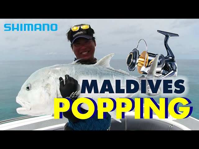 POPPING Techniques in Maldives with STELLA SW 