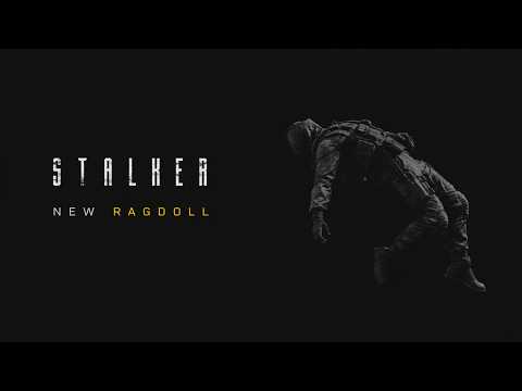 New Ragdoll Preset (DUX+FVM)&GAMMA