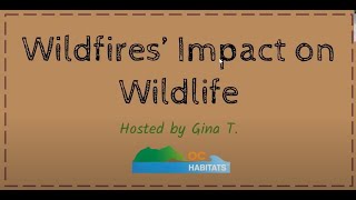 Wildfires' Impact on Wildlife by Gina T.