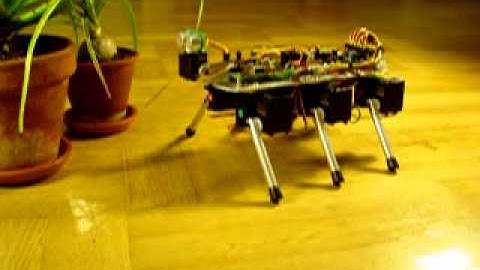 Six-legged robot Stampe 6 detecting obstacle and turning