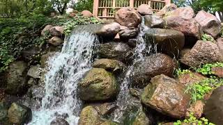 Dubuque Arboretum Its not crying